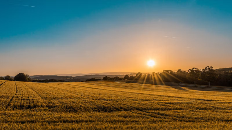 Modern Agriculture