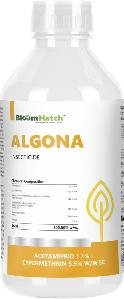 Algona