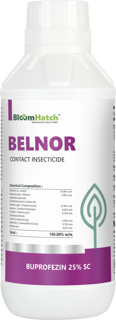 Belnor