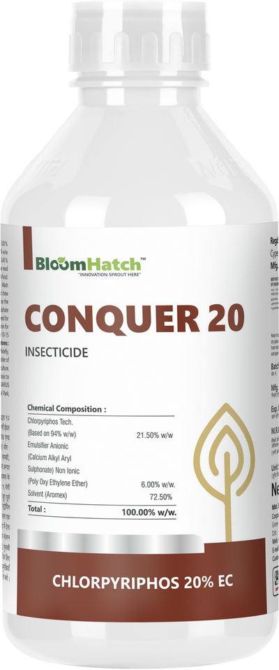 Conquer-20