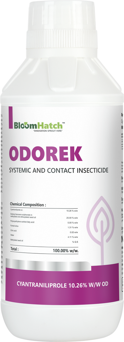 Odorek