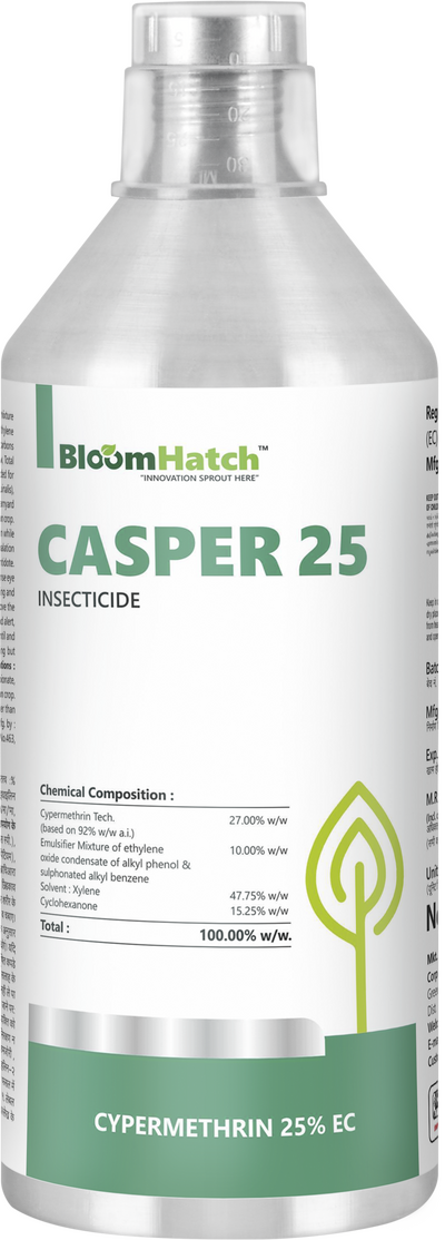 Casper-25
