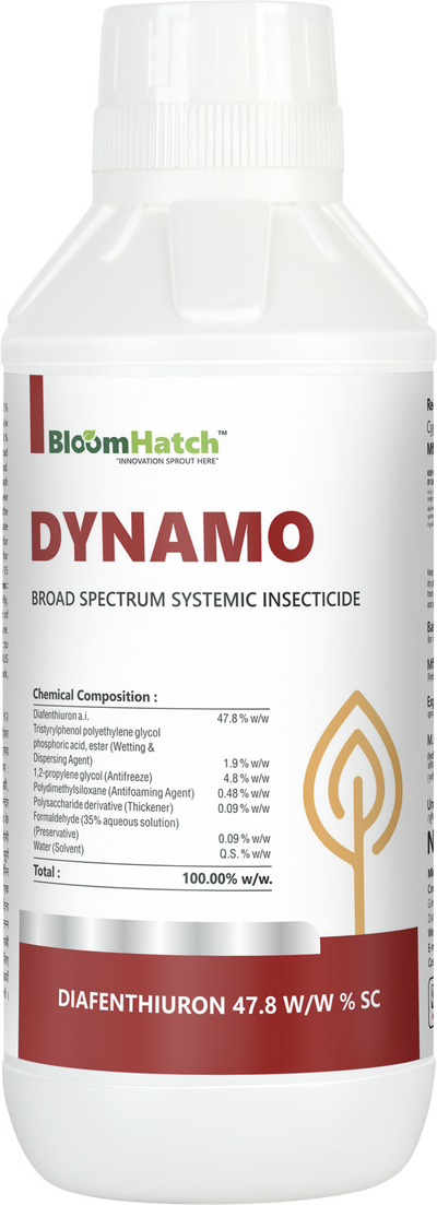 Dynamo