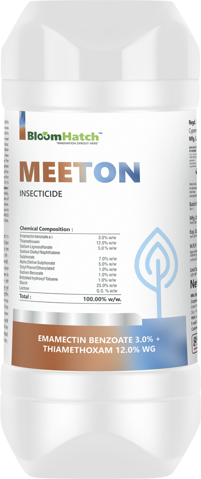 Meeton