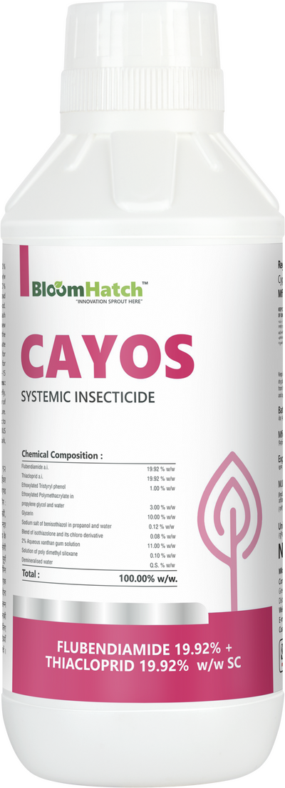 Cayos