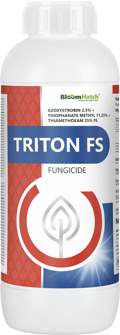 Triton FS