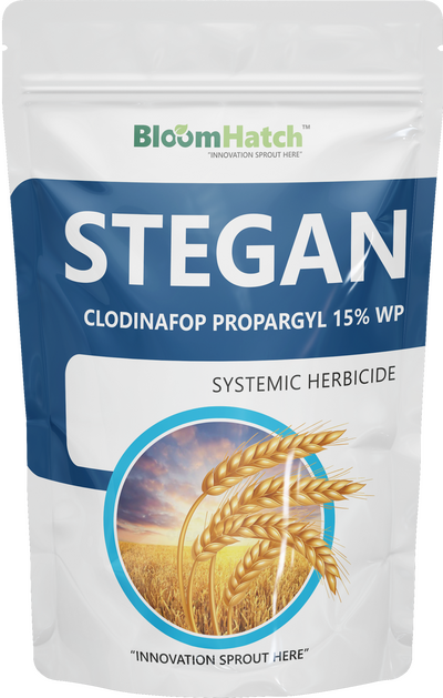 Stegan
