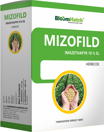 Mizofild
