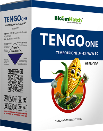 TENGO ONE