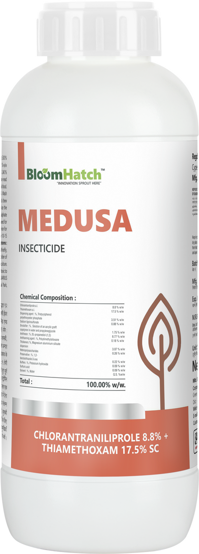 Medusa