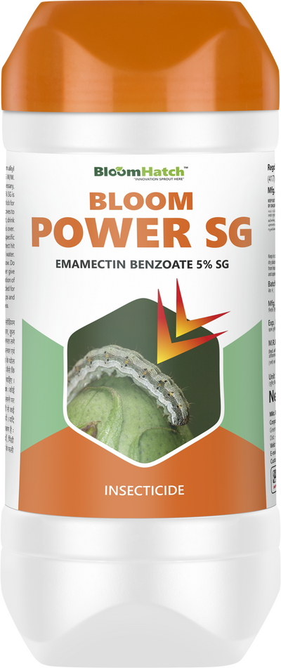 BLOOM POWER SG