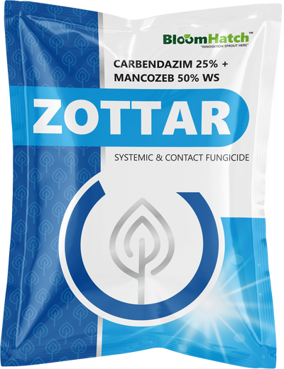 Zottar